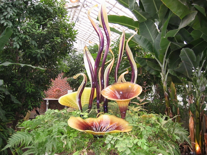 IMG_5709 Dale Chihuly art at Pittsburgh Phipps Conservatory.jpg